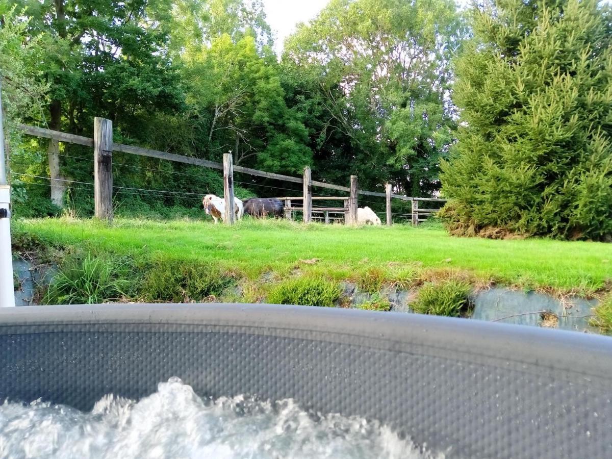 Relais Equestre Du Miloir - Chambres D'Hotes Saint-Desir Ngoại thất bức ảnh