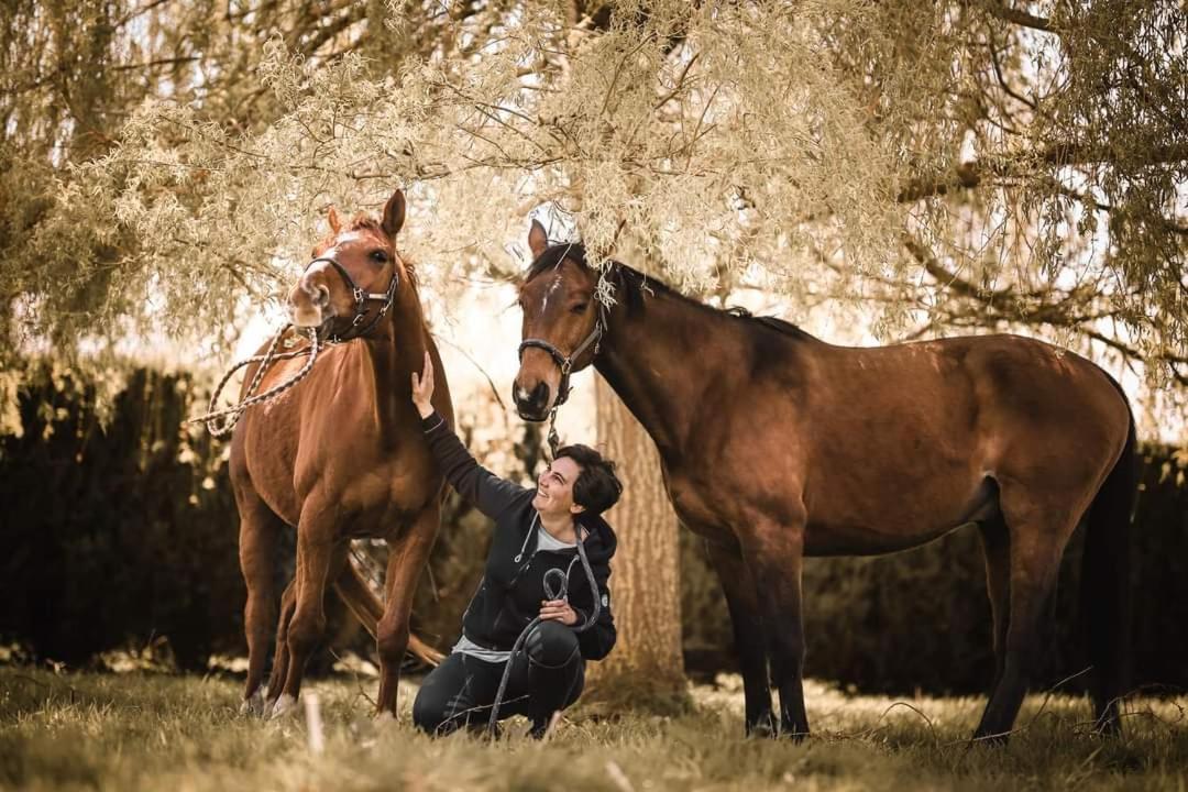Relais Equestre Du Miloir - Chambres D'Hotes Saint-Desir Ngoại thất bức ảnh